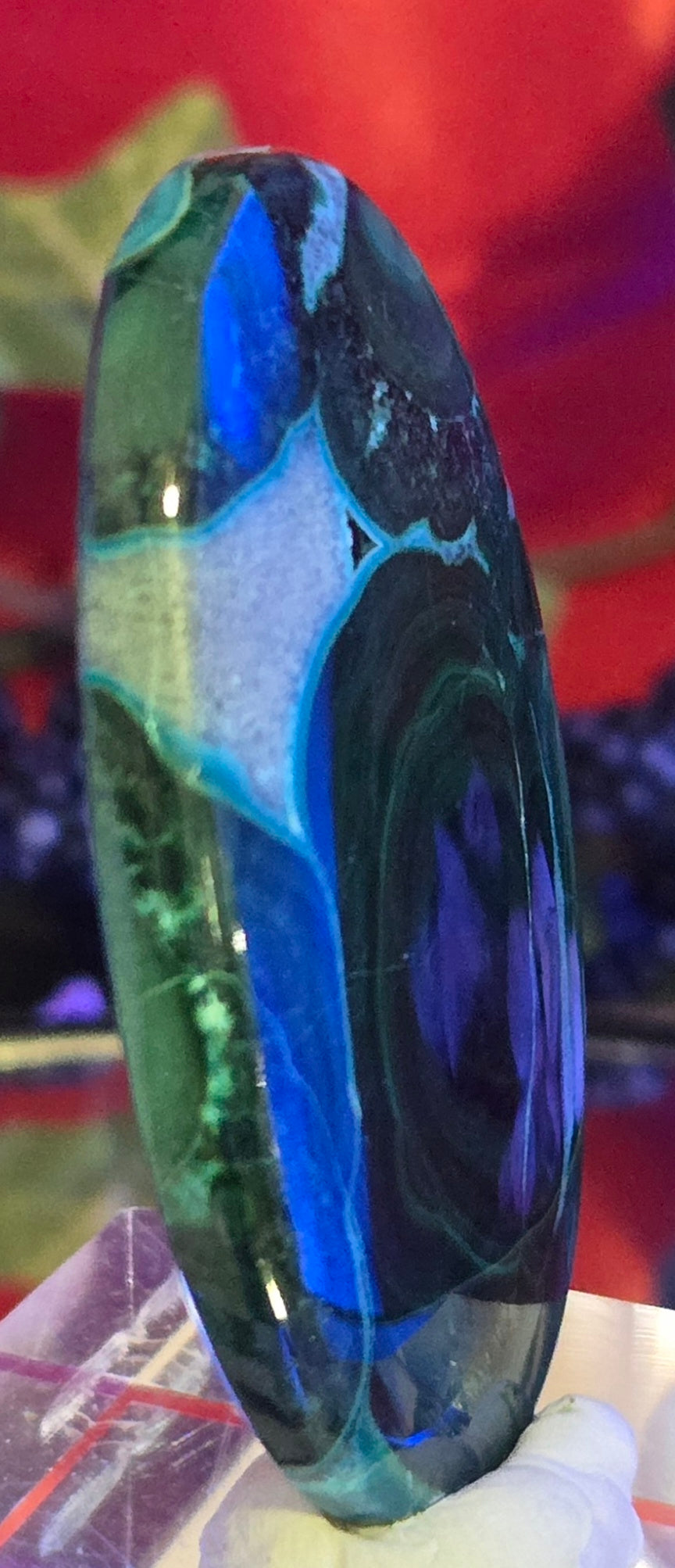 MALACHITE CHRYSACOLLA CABOCHON