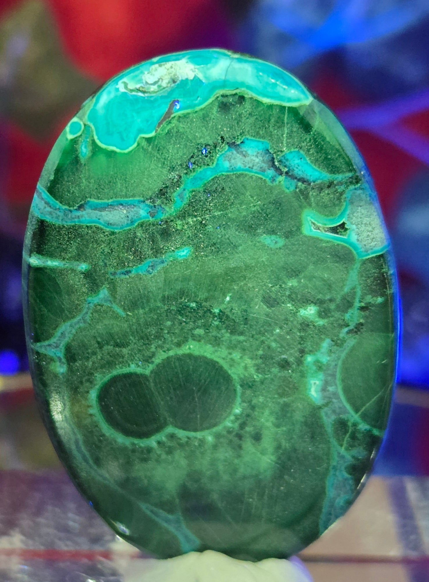MALACHITE CHRYSACOLLA CABOCHON