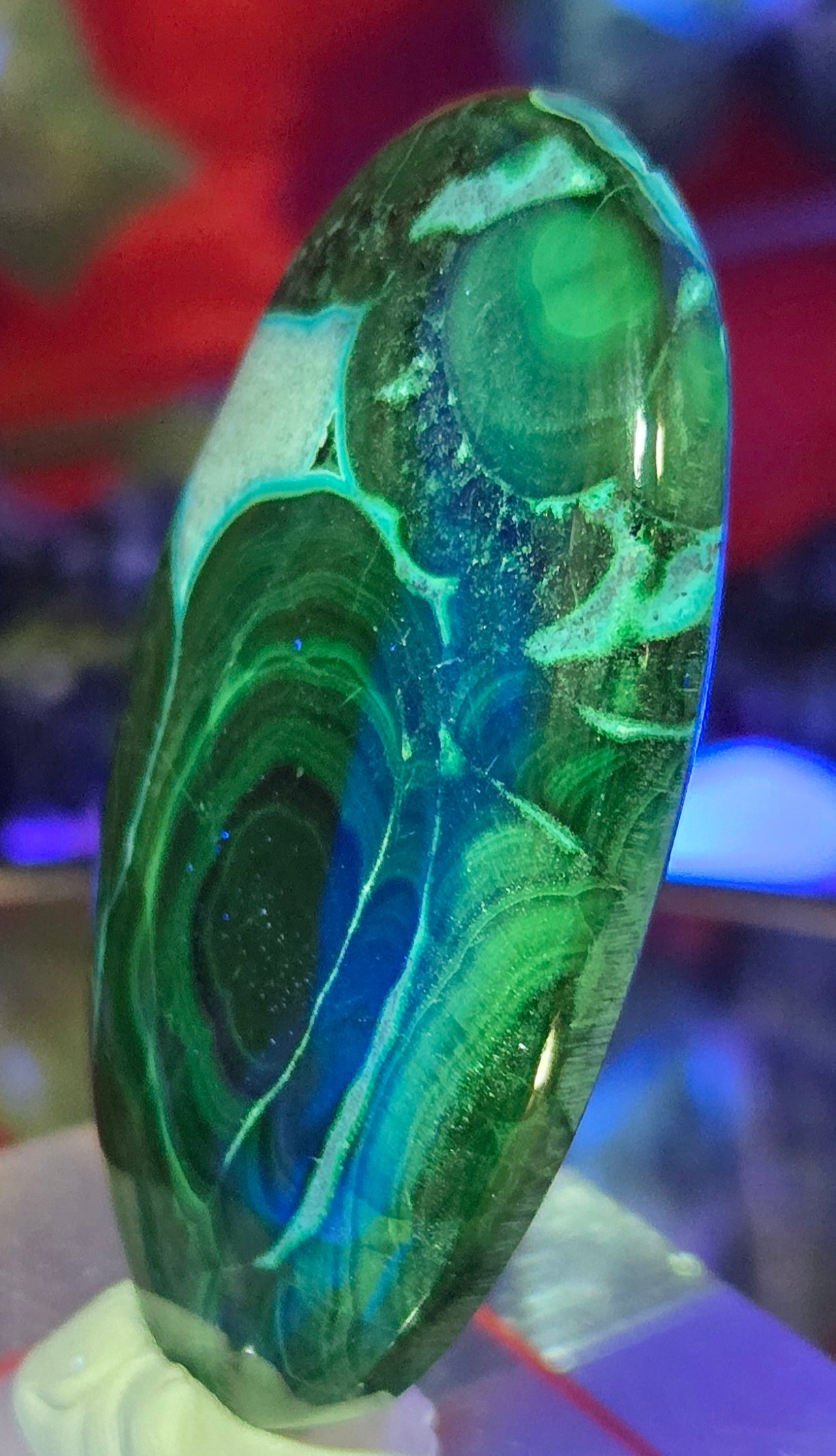 MALACHITE CHRYSACOLLA CABOCHON