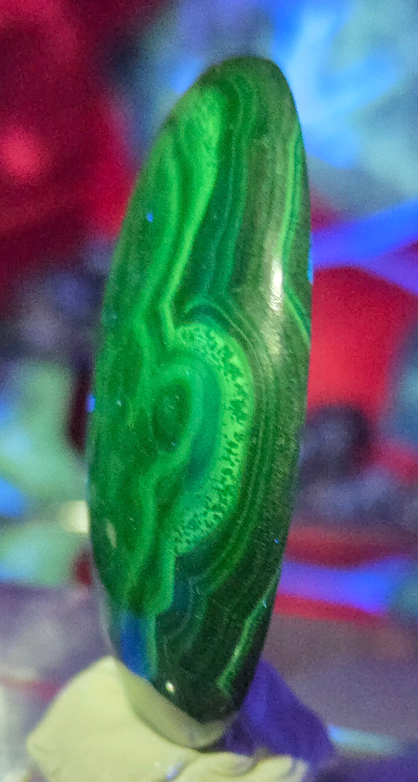 MALACHITE CABOCHON