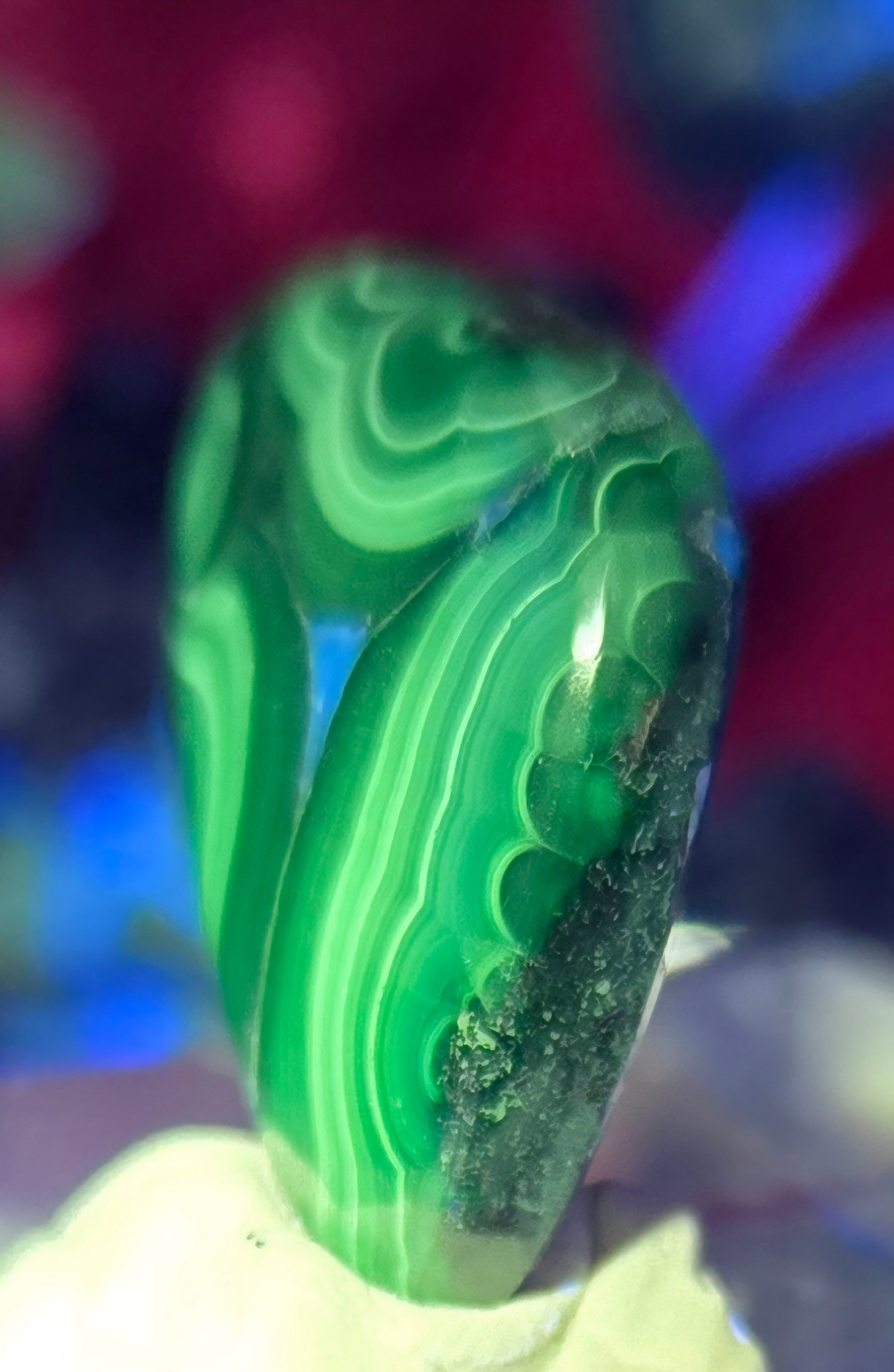 MALACHOITE CABOCHON