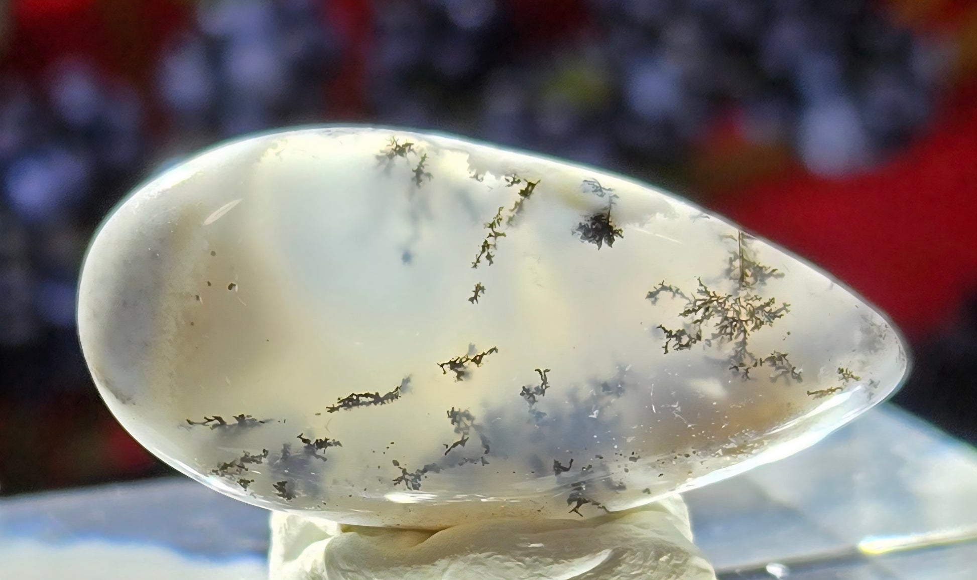 DENDRITE CABOCHON