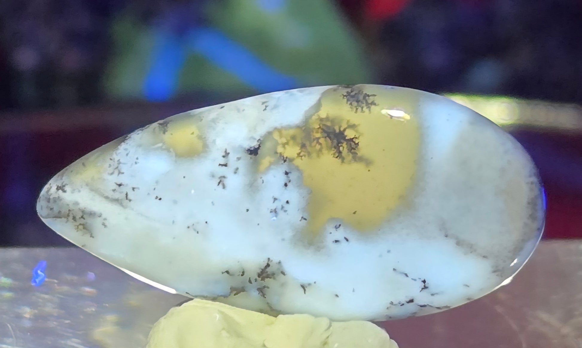 DENDRITE CABOCHON