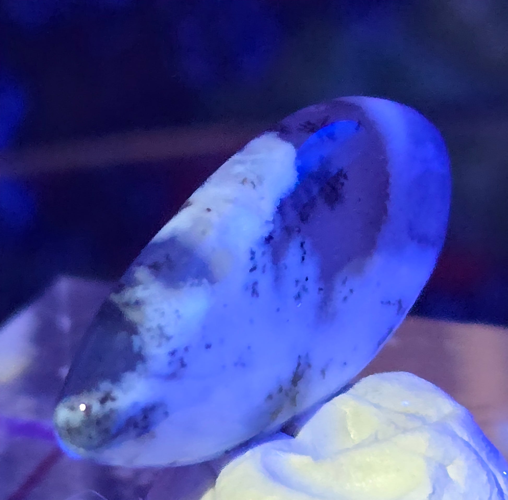 DENDRITE CABOCHON