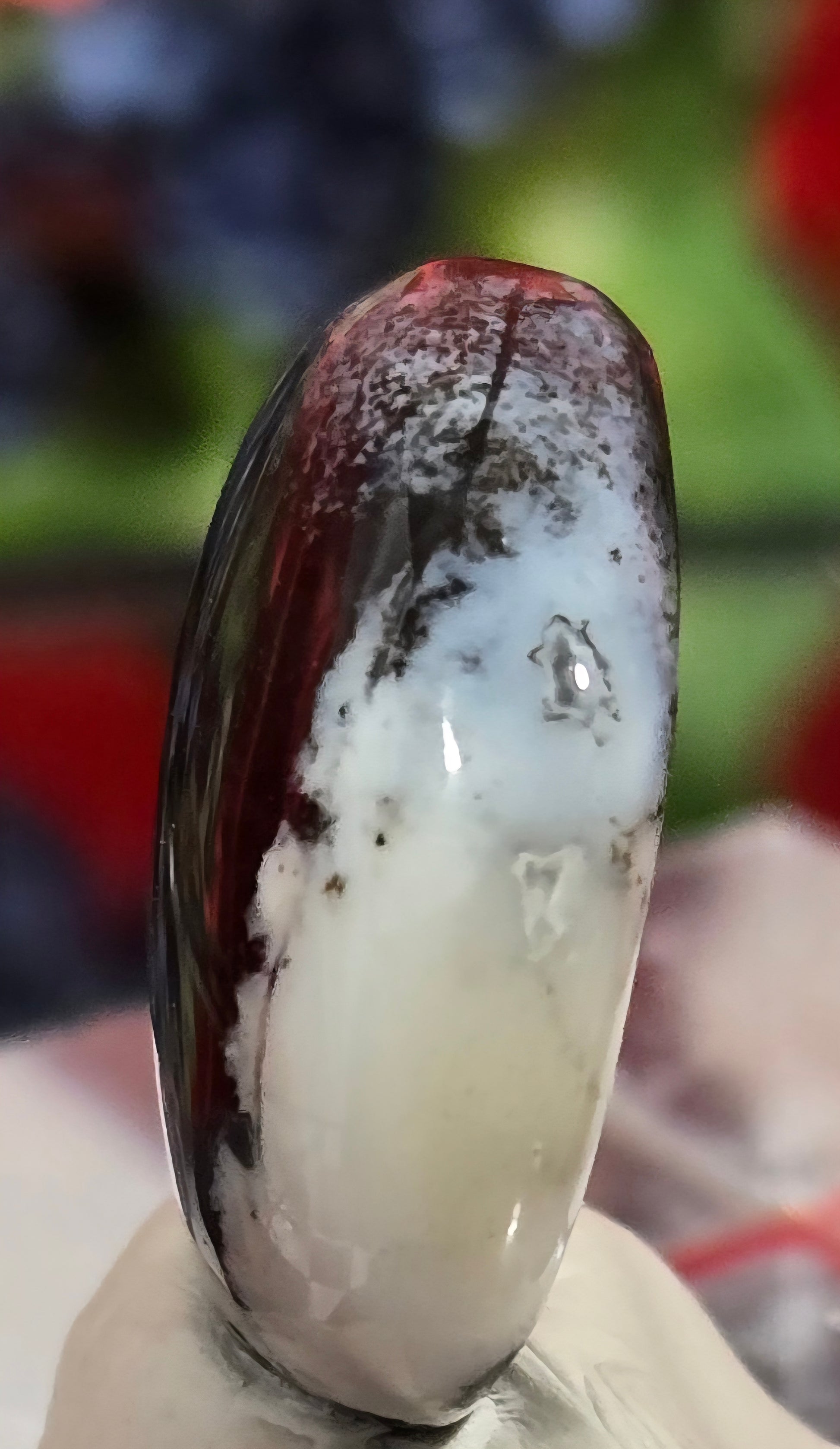DENDRITE CABOCHON