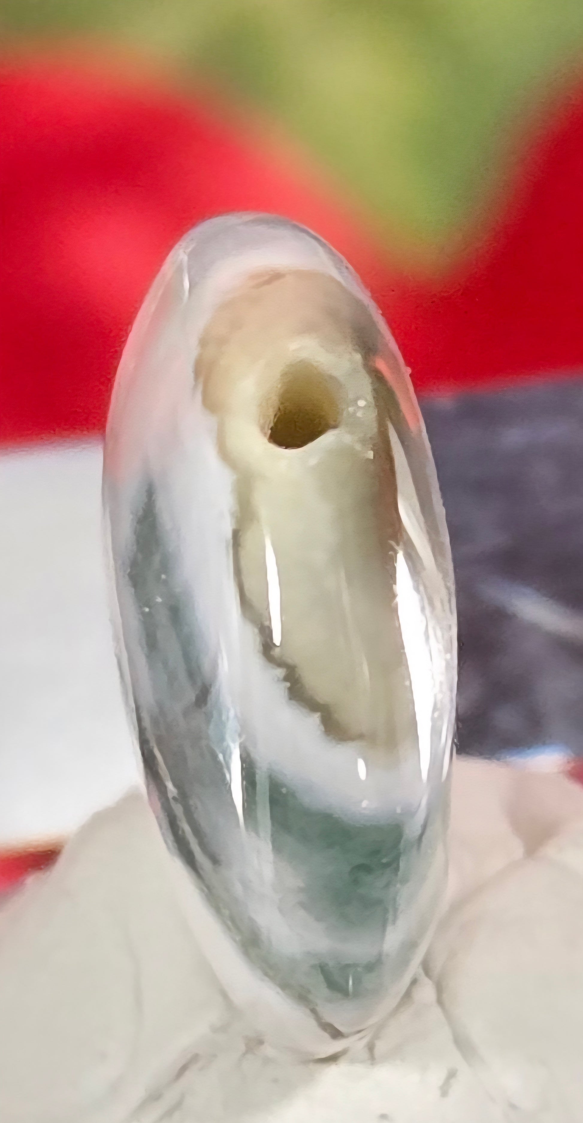MOSS AGATE CABOCHON