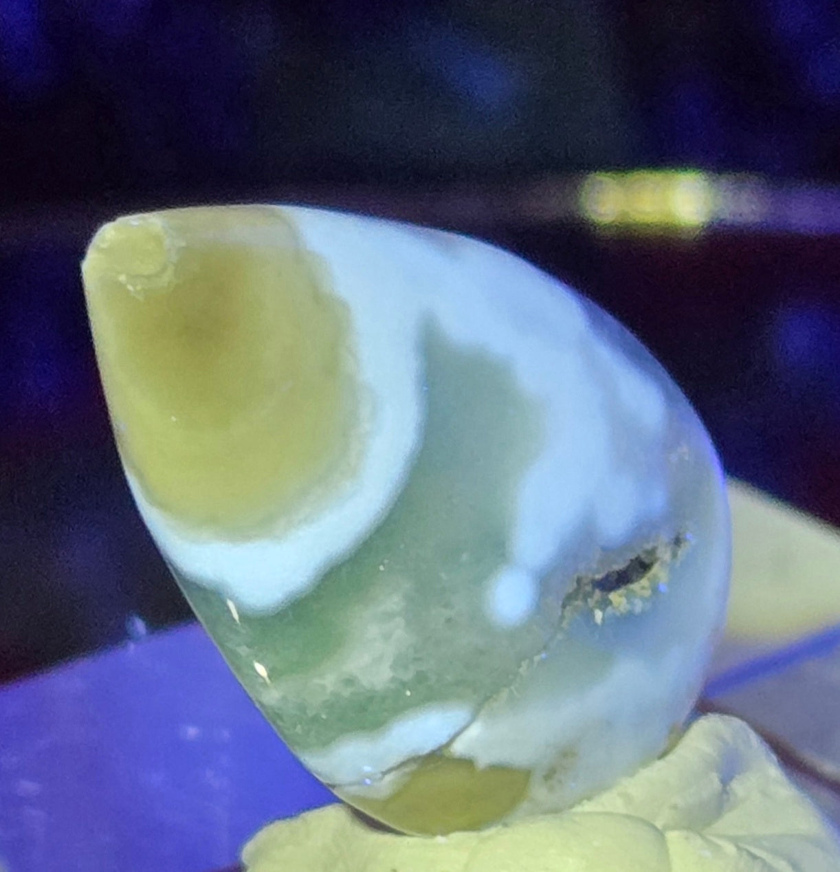 MOSS AGATE CABOCHON