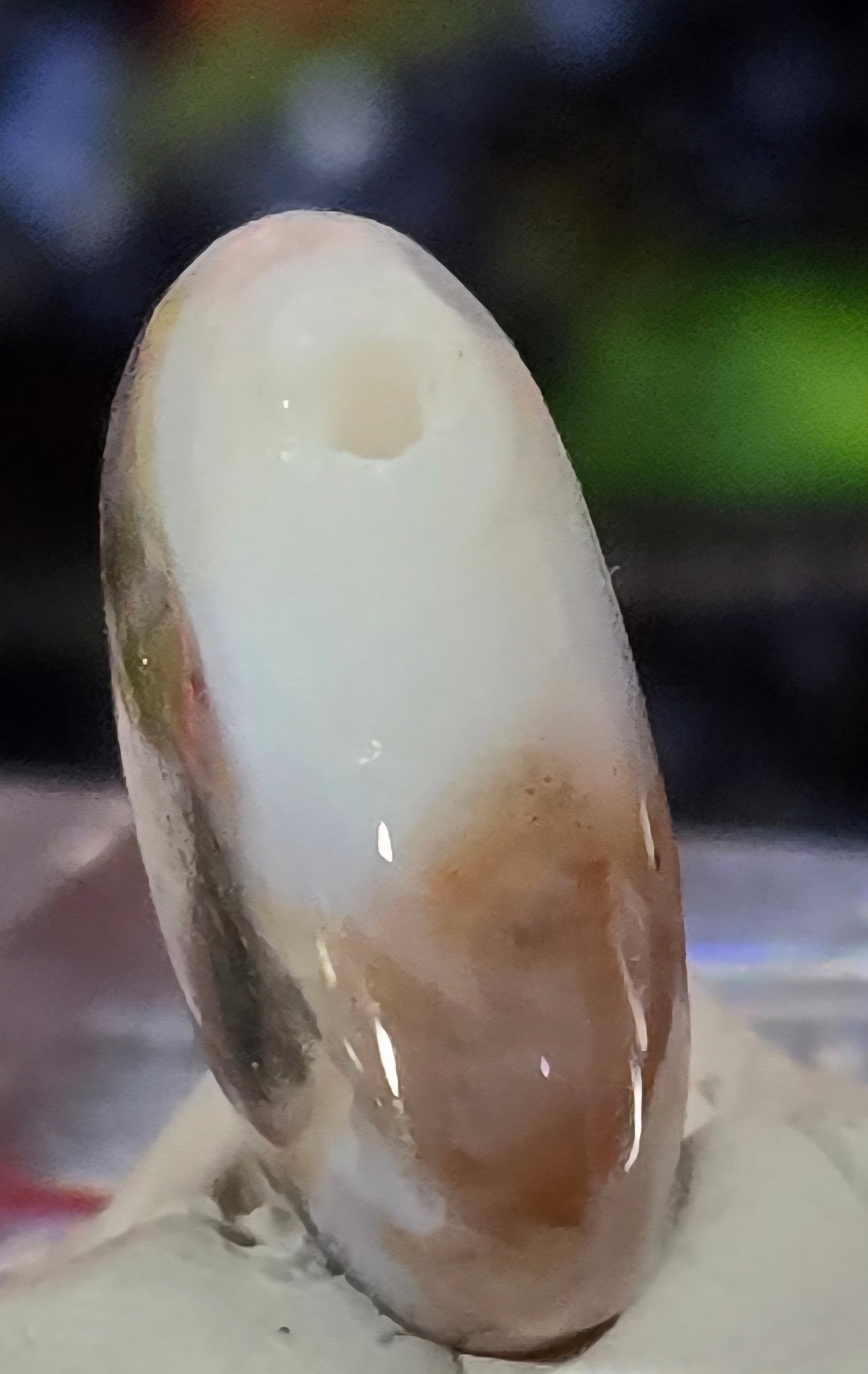 MOSS AGATE CABOCHON