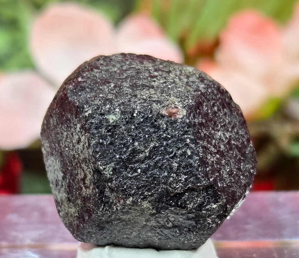 TEKTITE