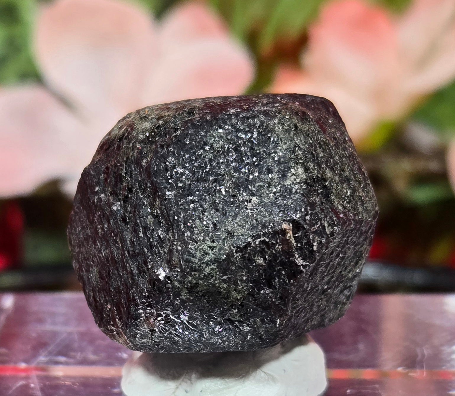 TEKTITE