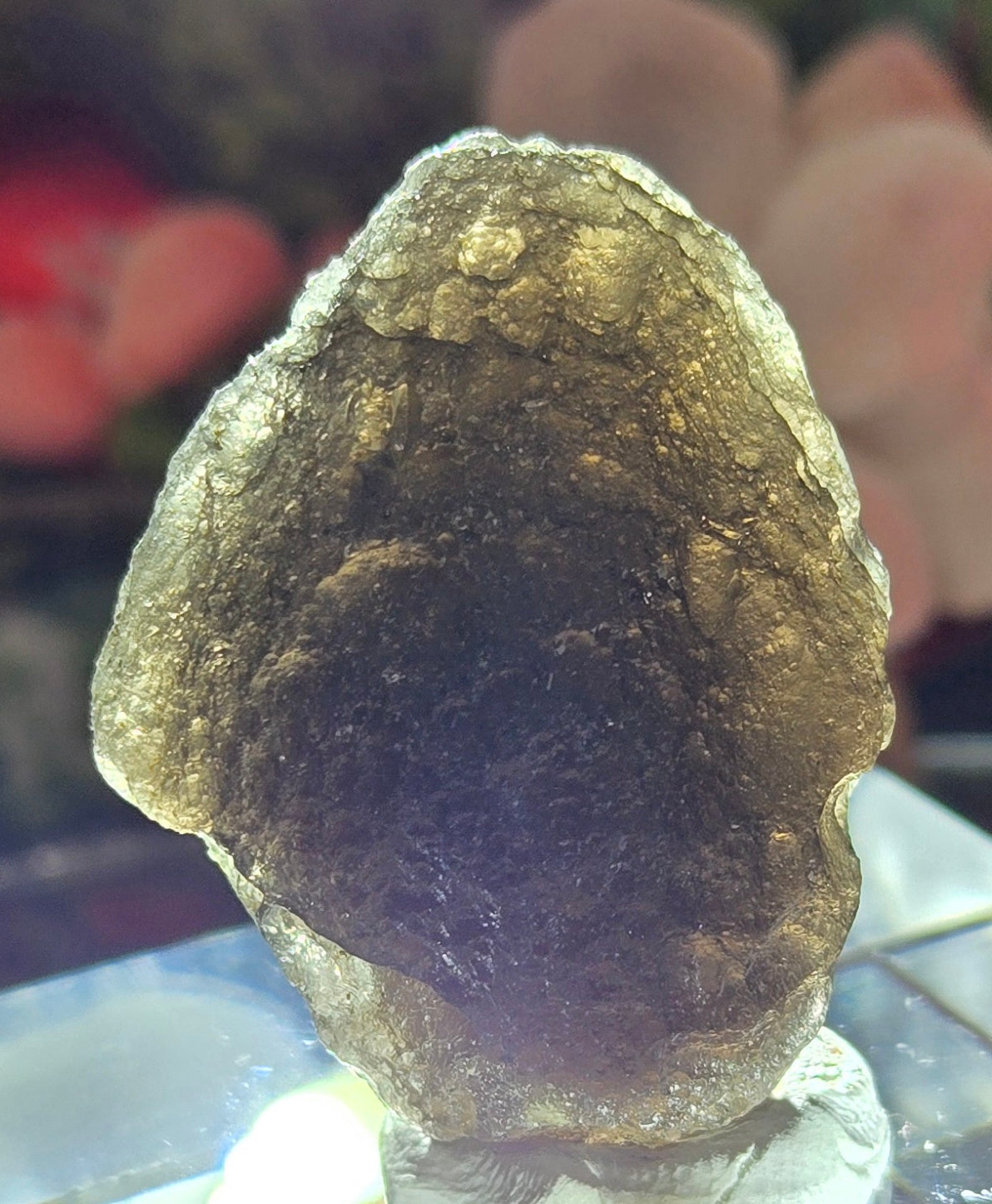 TEKTITE