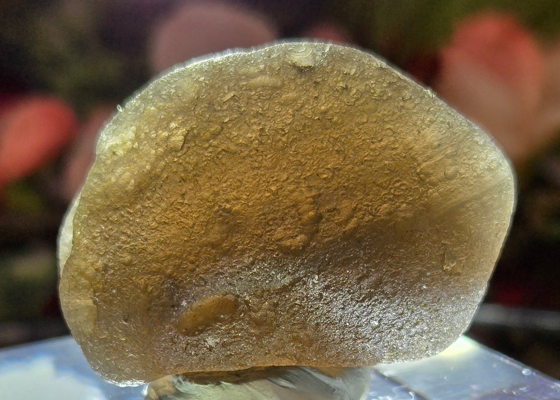 TEKTITE