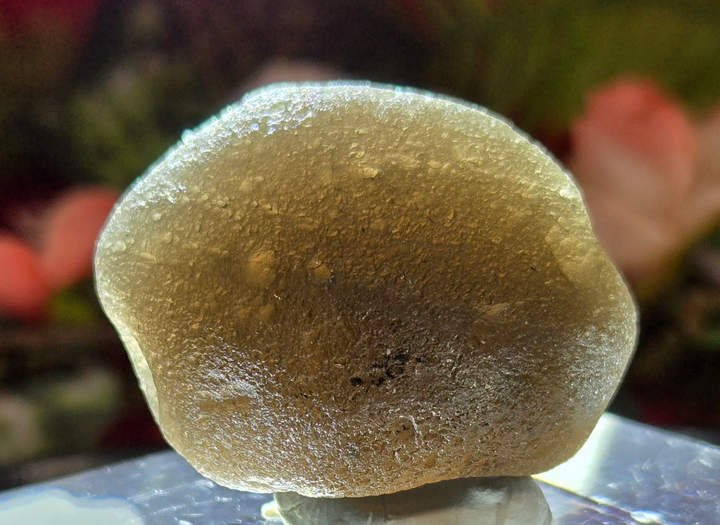 TEKTITE