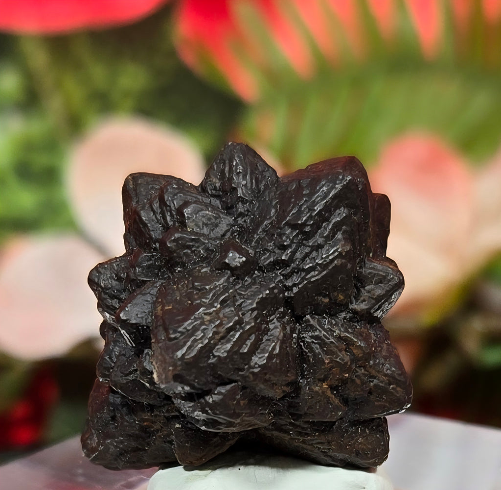 PROPHECY STONE