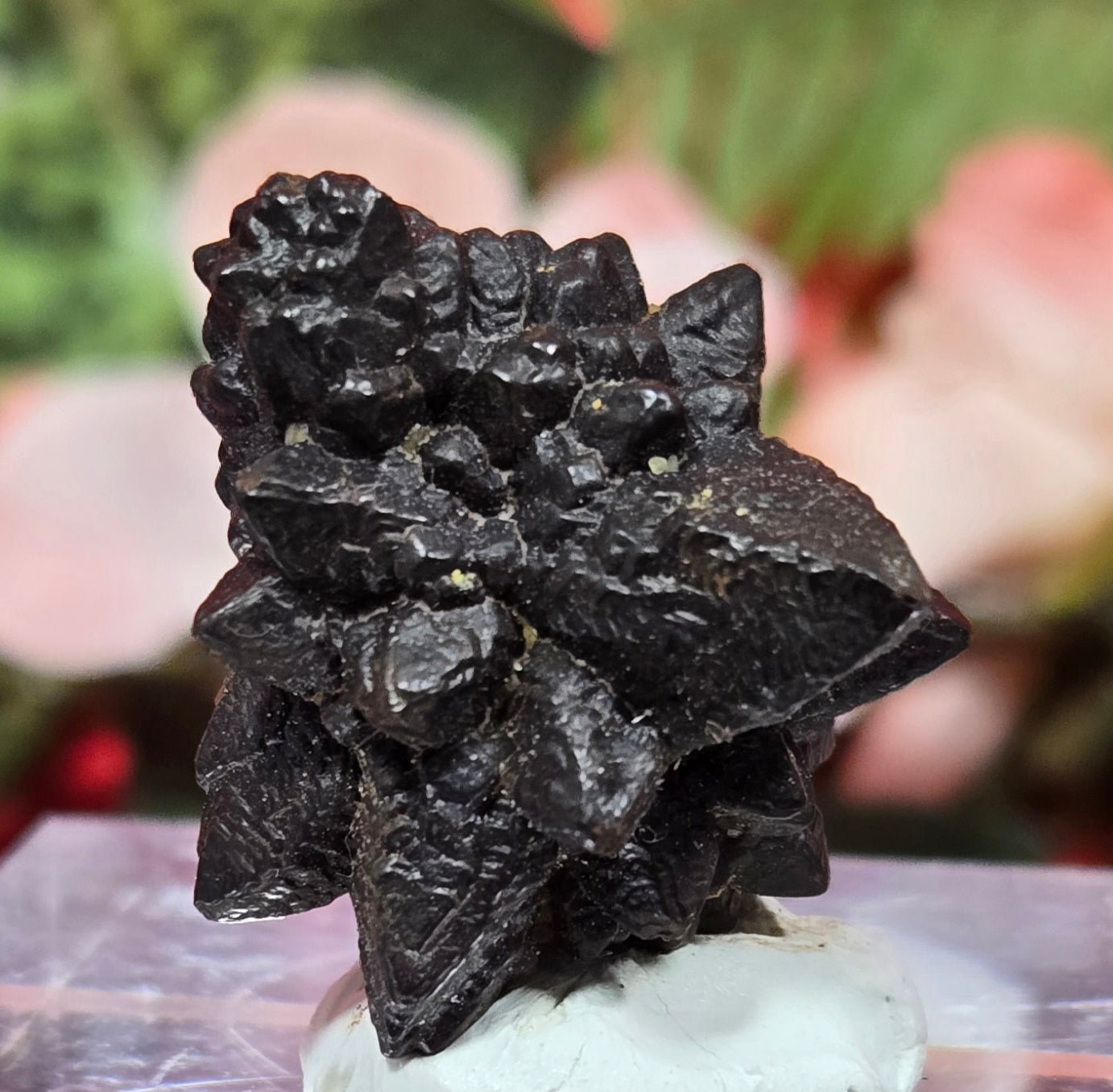 PROPHECY STONE