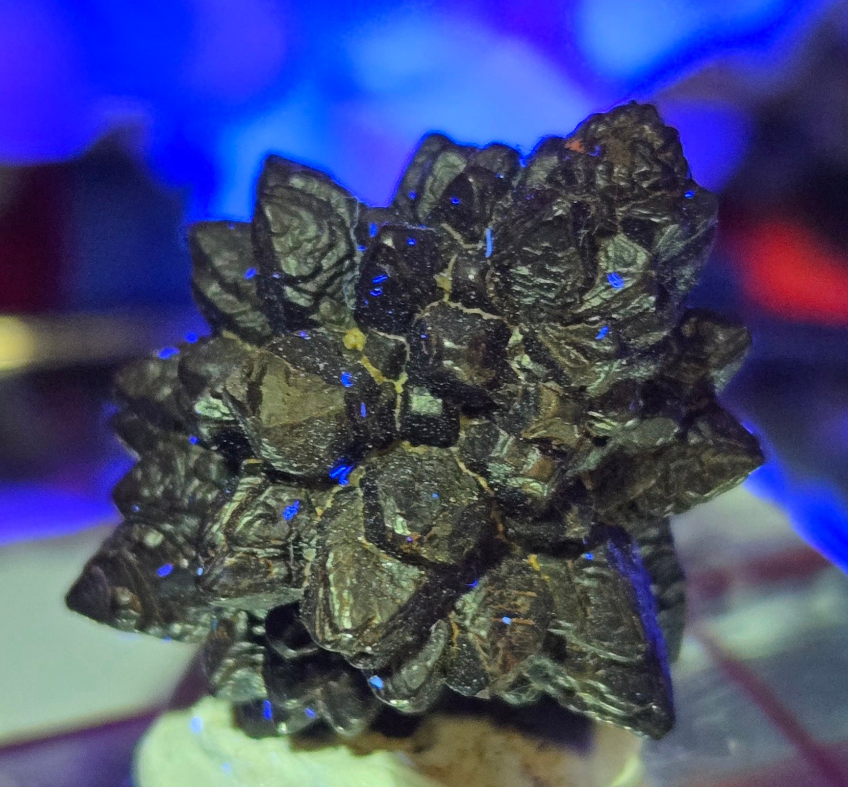 PROPHECY STONE