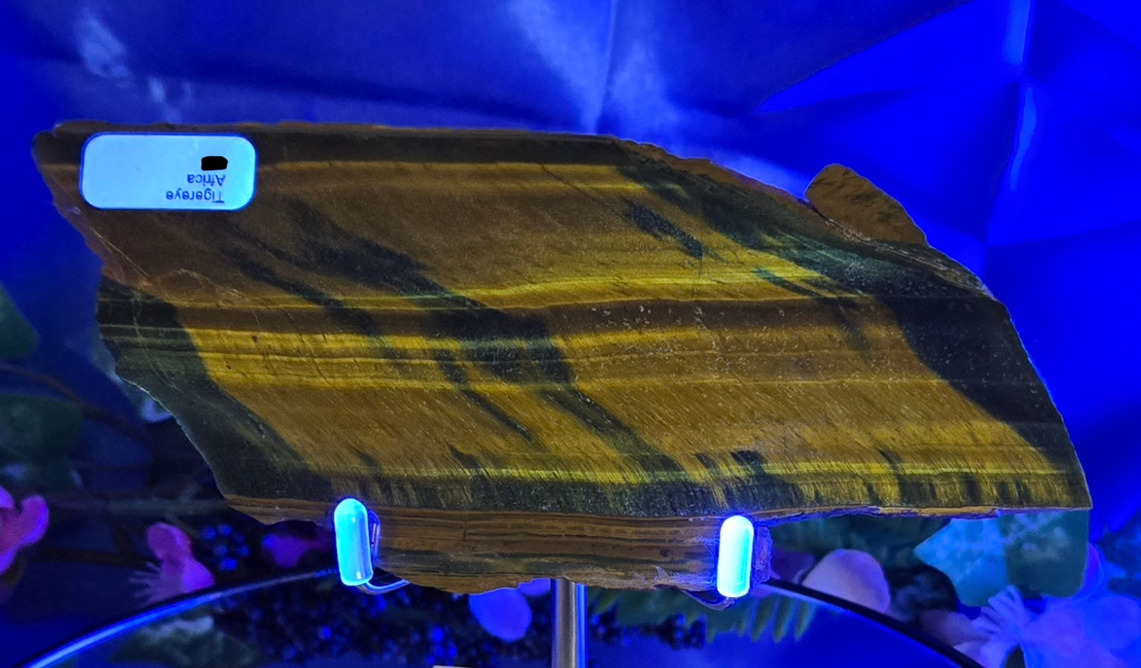 TIGERS EYE SLAB