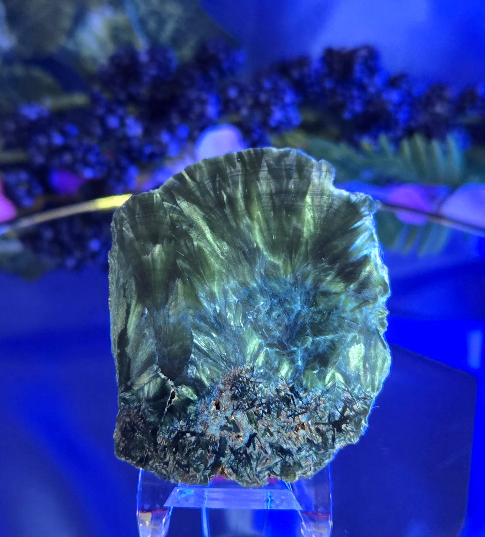 SERAPHINITE SLAB