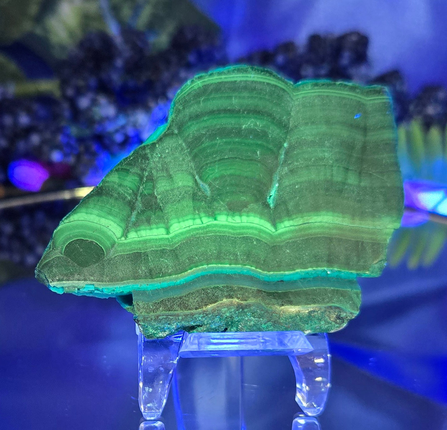 MALACHITE CHRYSOCOLLA SLAB
