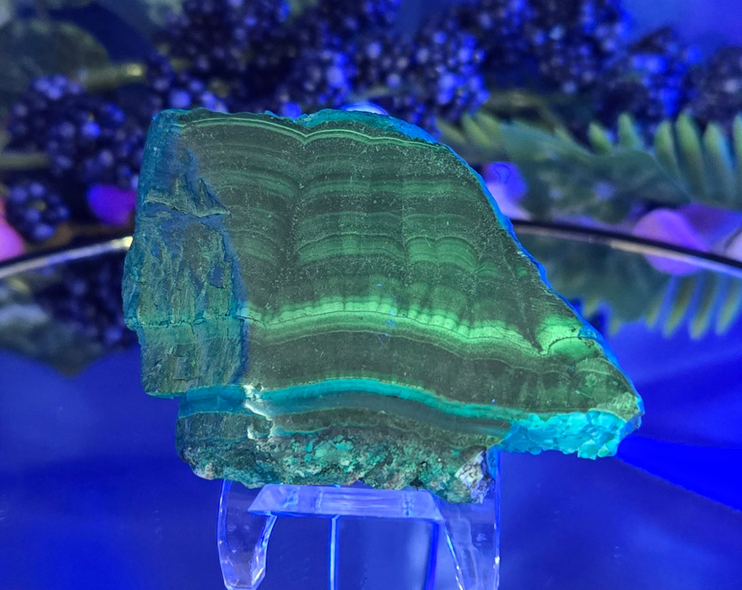 MALACHITE CHRYSOCOLLA SLAB