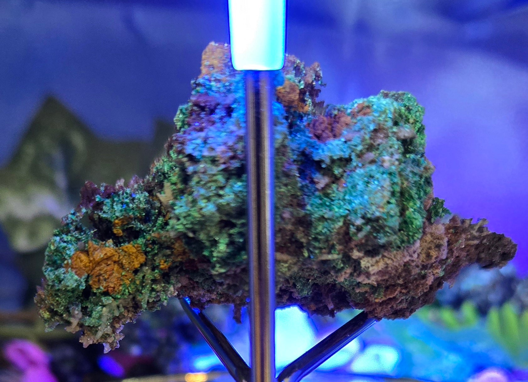 MALACHITE AZURITE