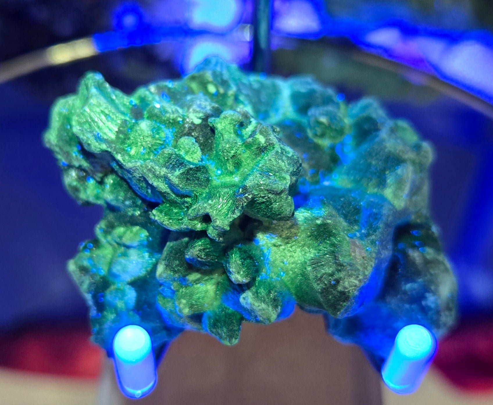 MALACHITE