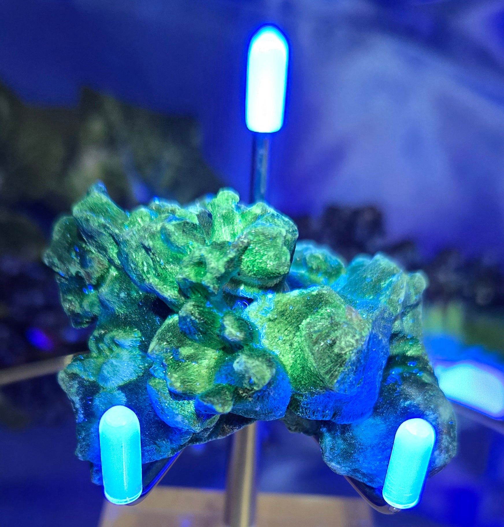 MALACHITE
