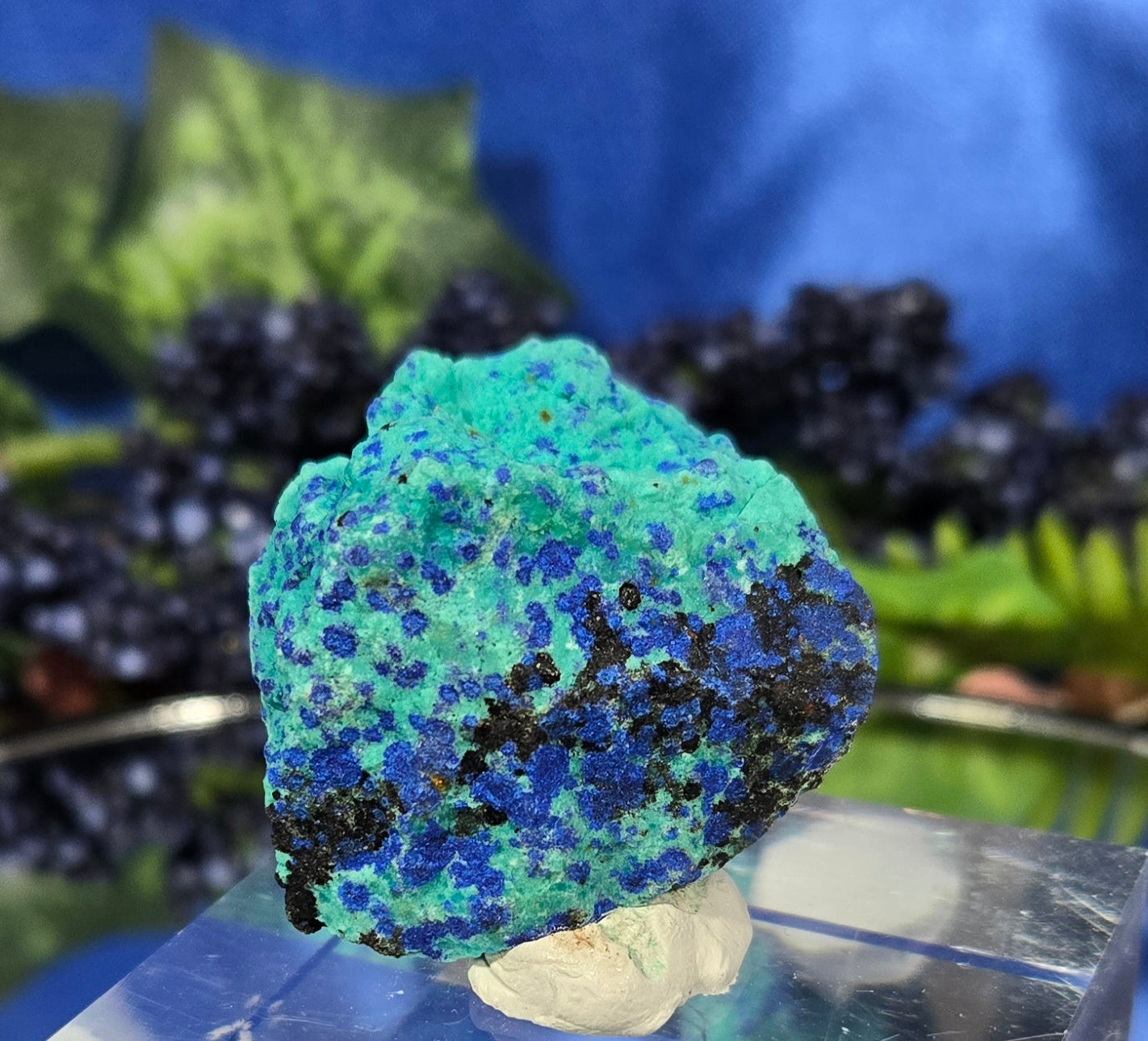 CHRYSOCOLLA