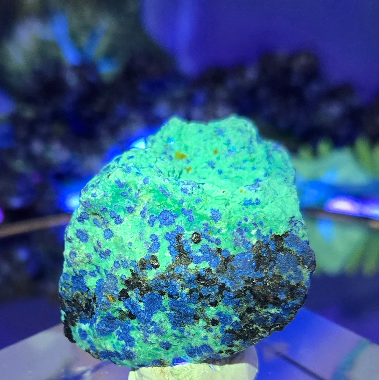 CHRYSOCOLLA