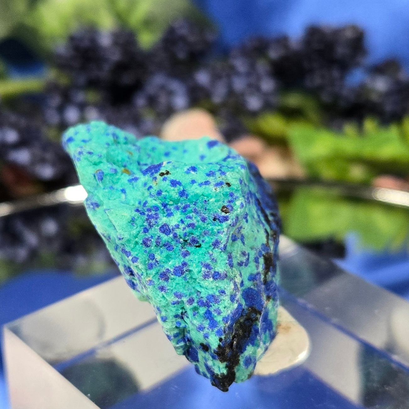 CHRYSOCOLLA