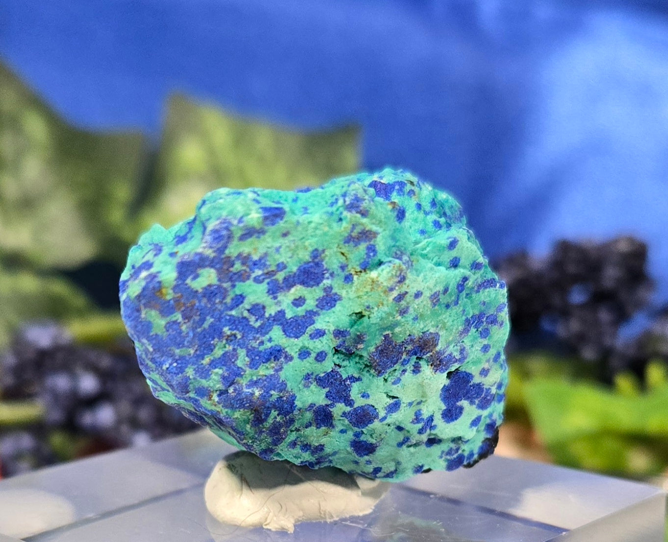 CHRYSOCOLLA