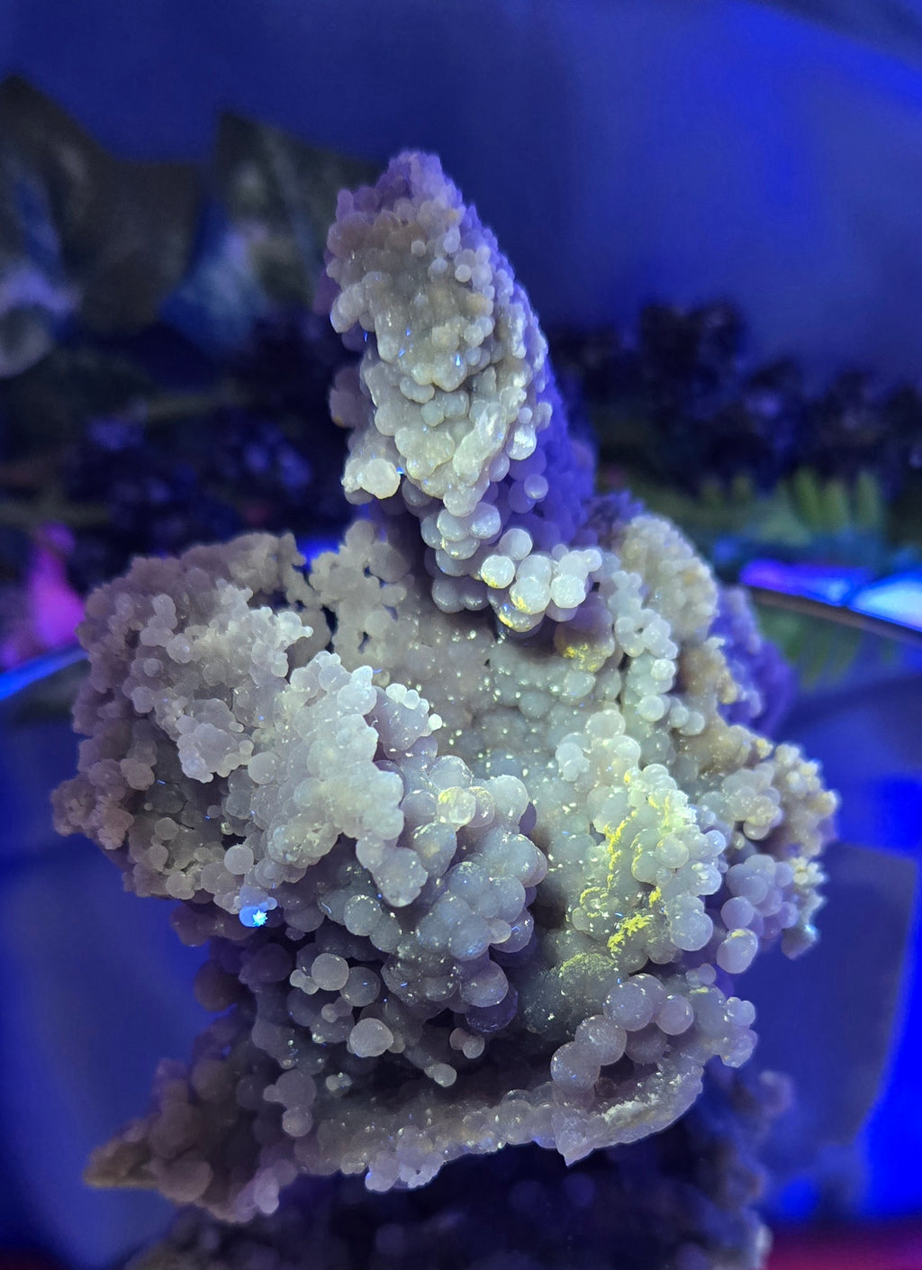 GRAPE AGATE