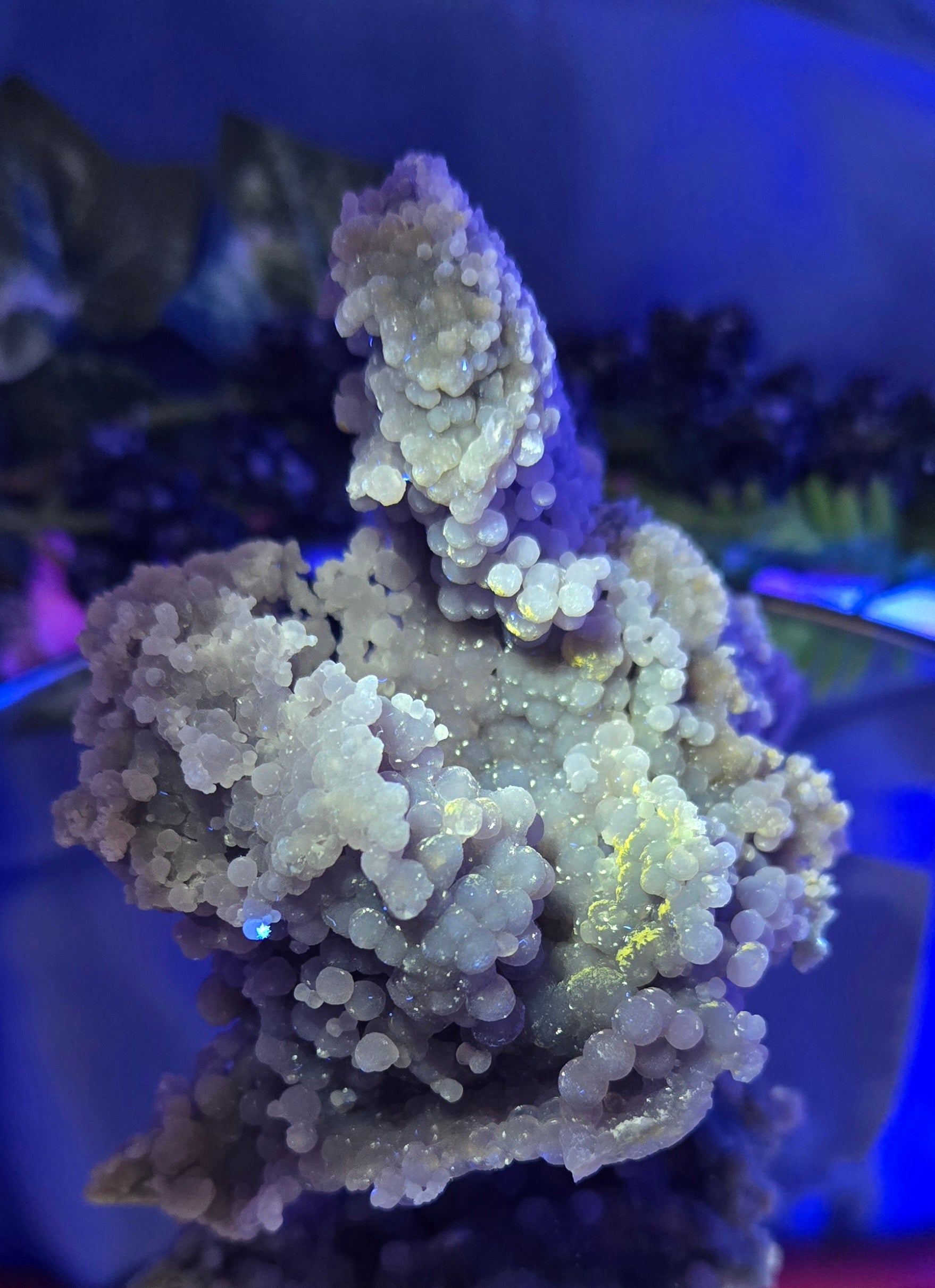 GRAPE AGATE