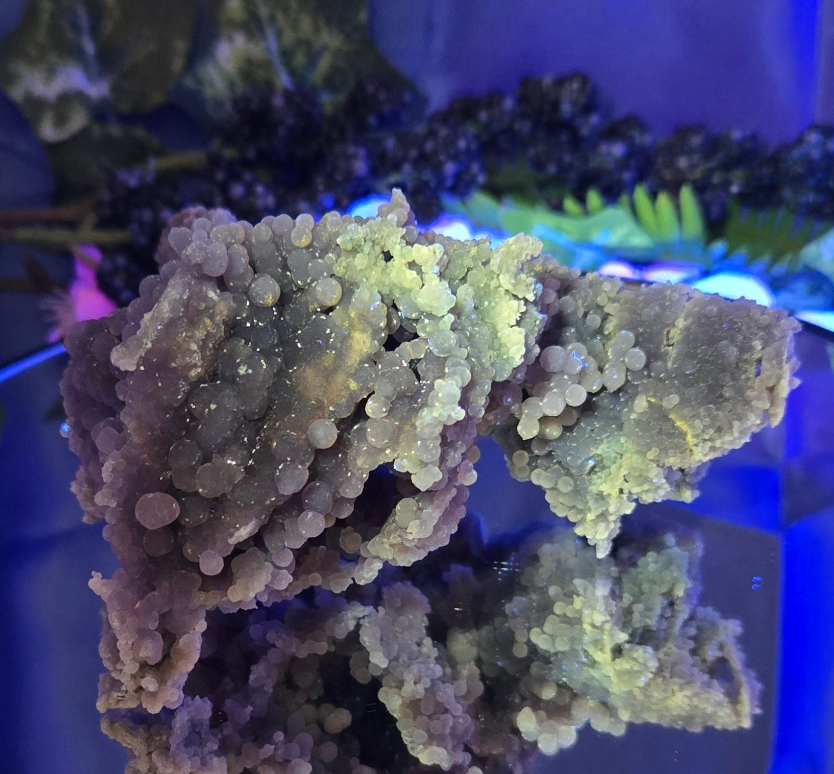 GRAPE AGATE
