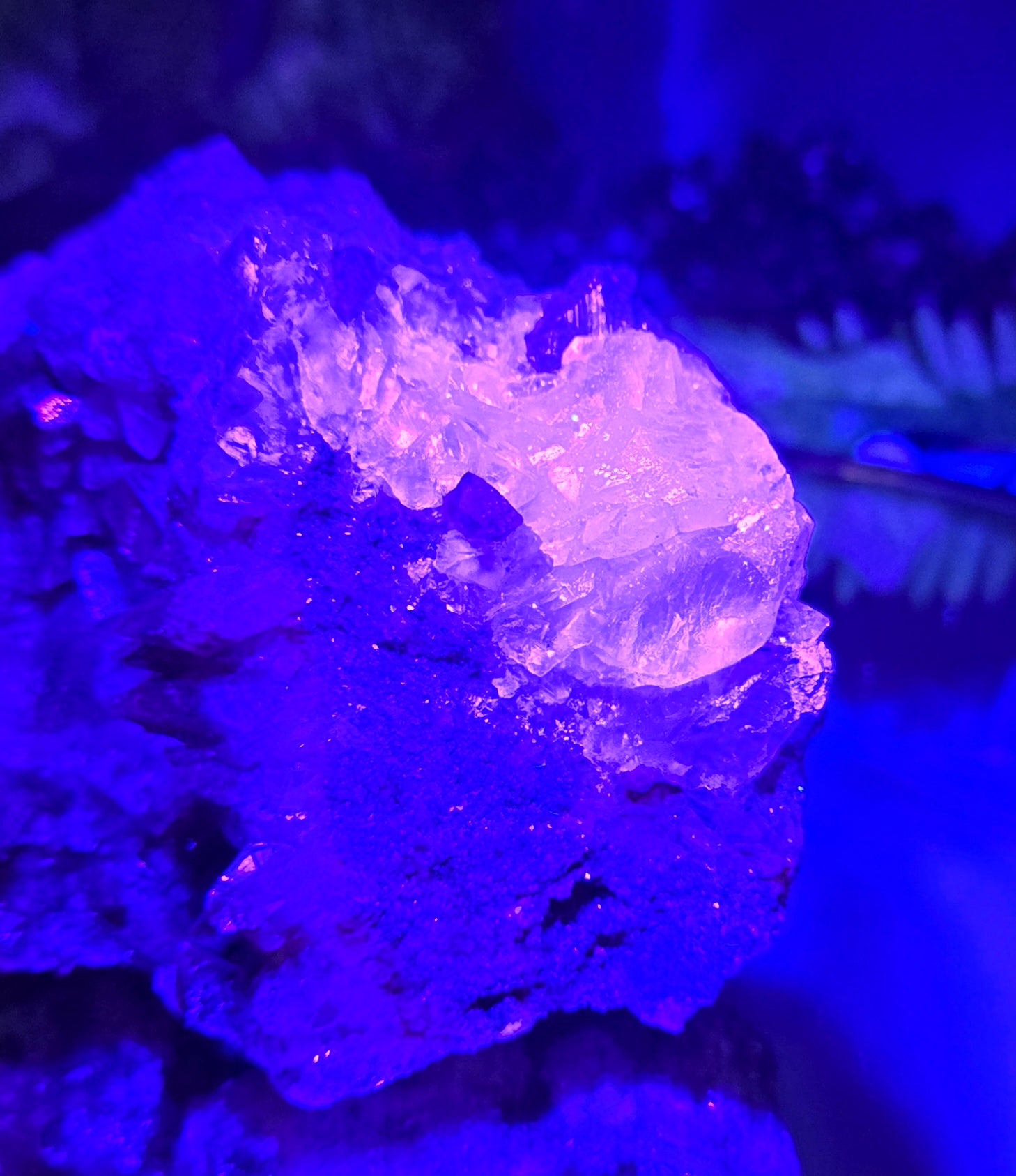DOG TOOTH CALCITE