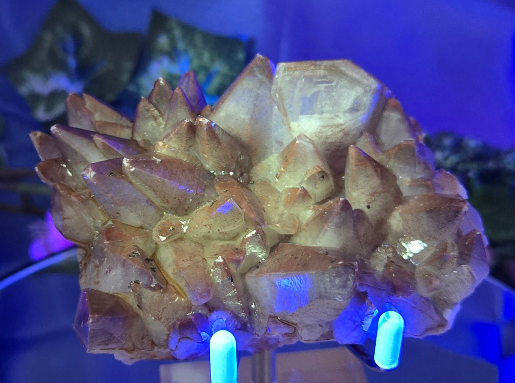 DOG TOOTH CALCITE