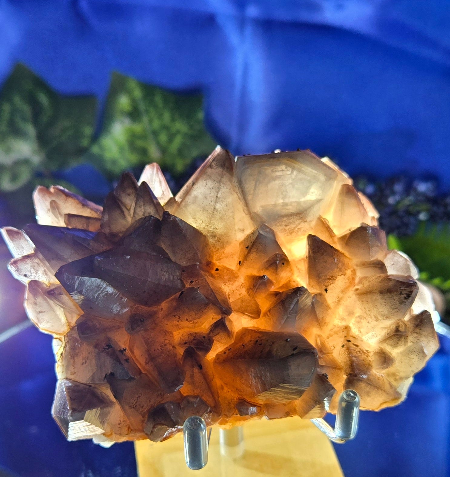 DOG TOOTH CALCITE