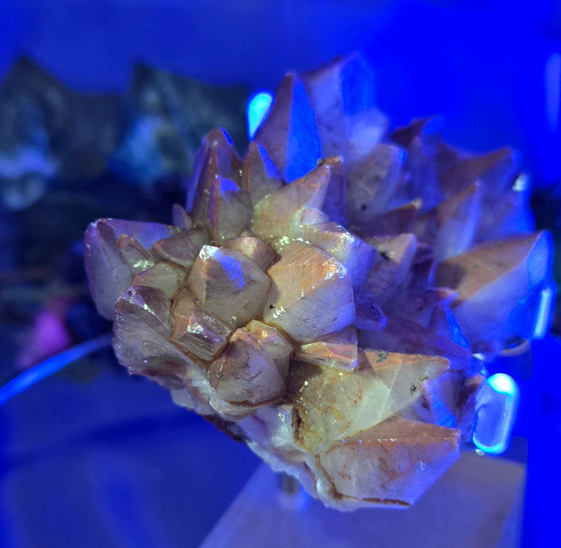 DOG TOOTH CALCITE