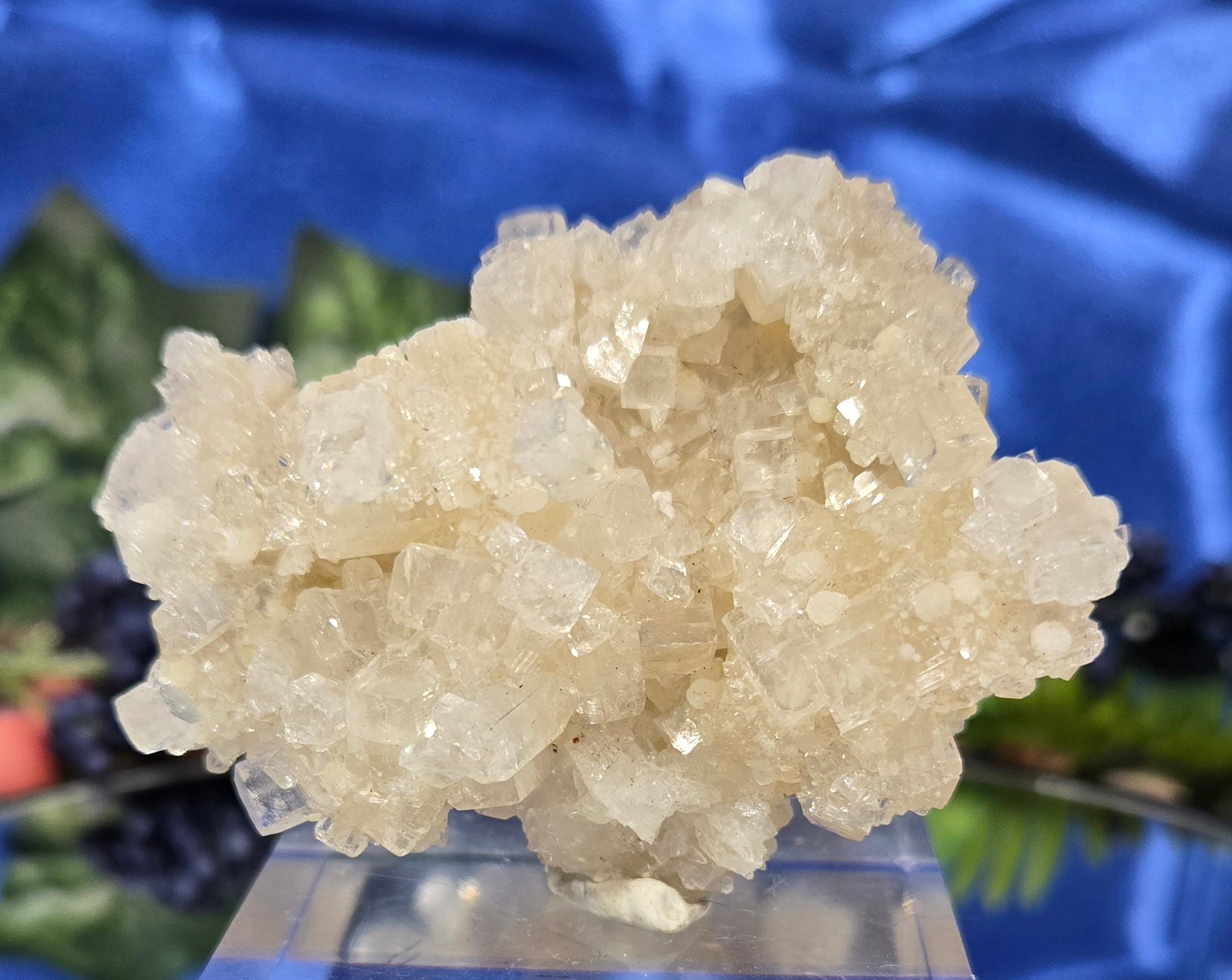 APOPHYLLITE - GYROLITE - PREHNITE