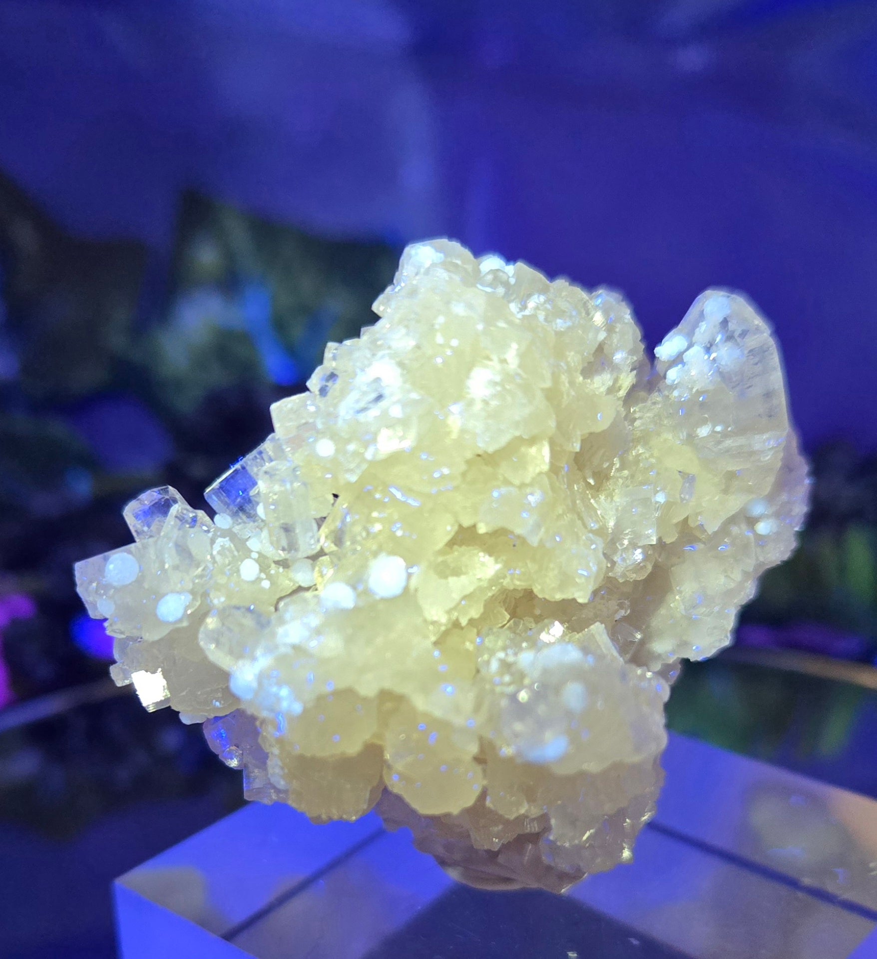 APOPHYLLITE - GYROLITE - PREHNITE