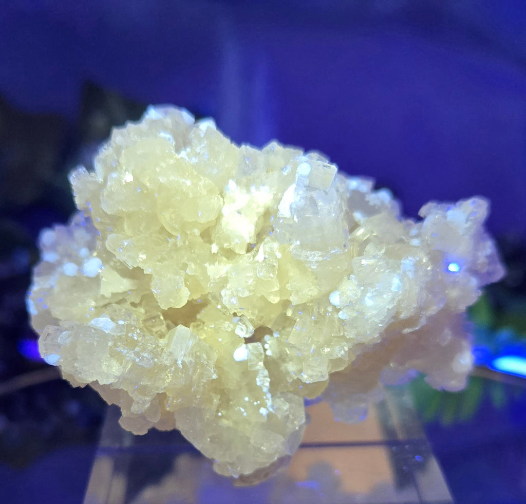 APOPHYLLITE - GYROLITE - PREHNITE