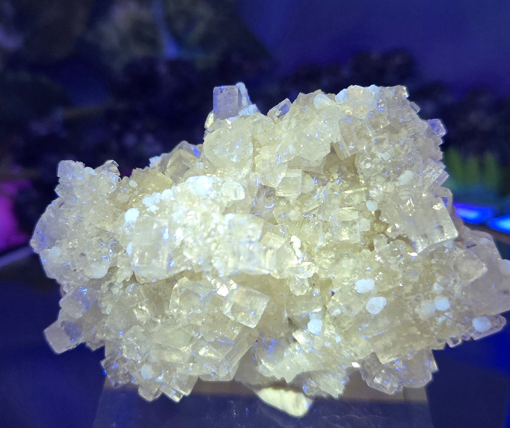 APOPHYLLITE - GYROLITE - PREHNITE