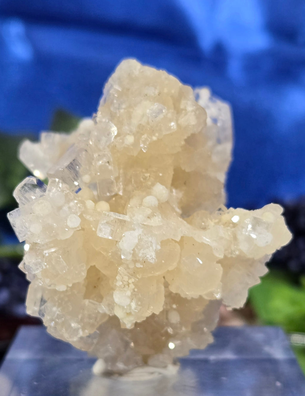 APOPHYLLITE - GYROLITE - PREHNITE
