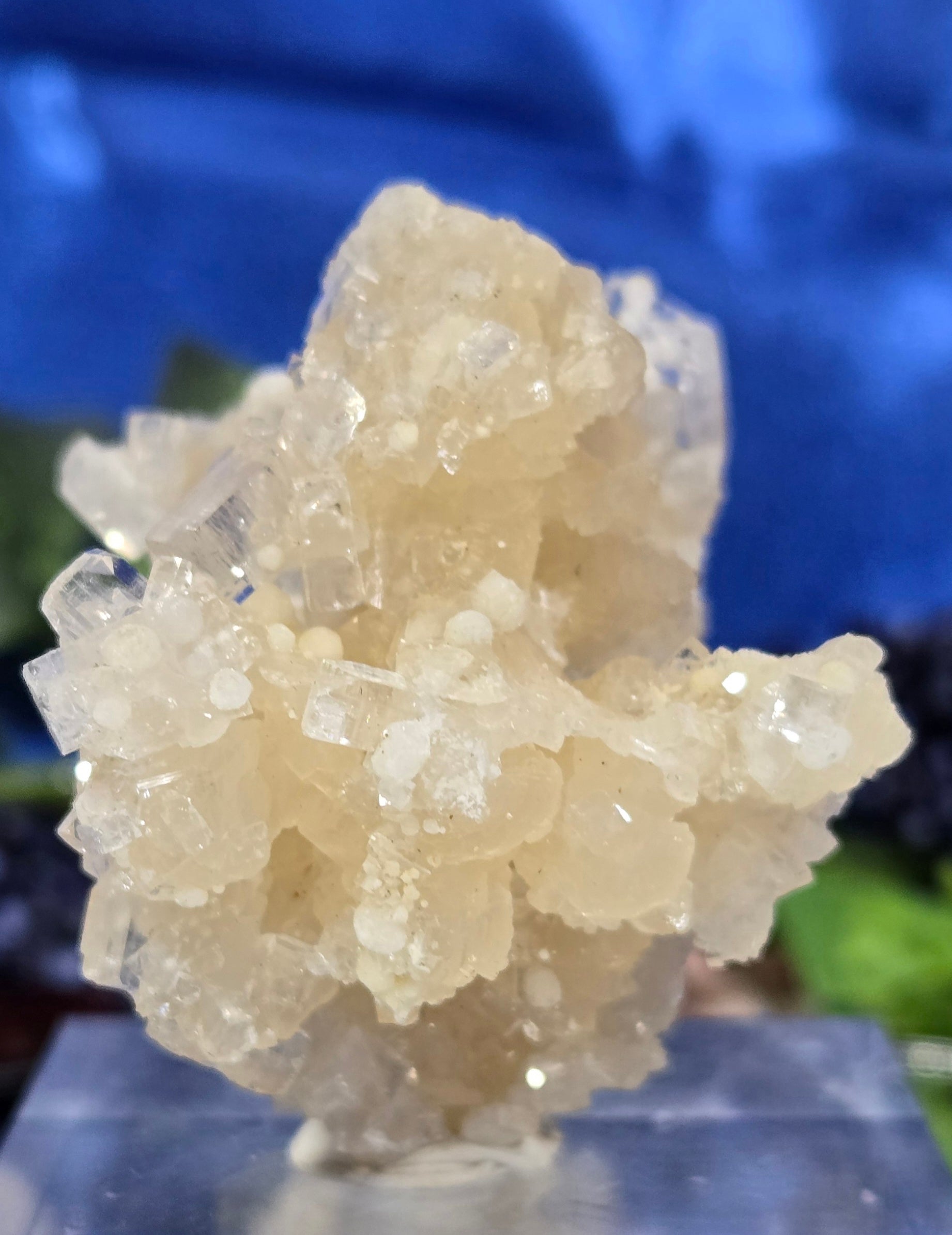 APOPHYLLITE - GYROLITE - PREHNITE