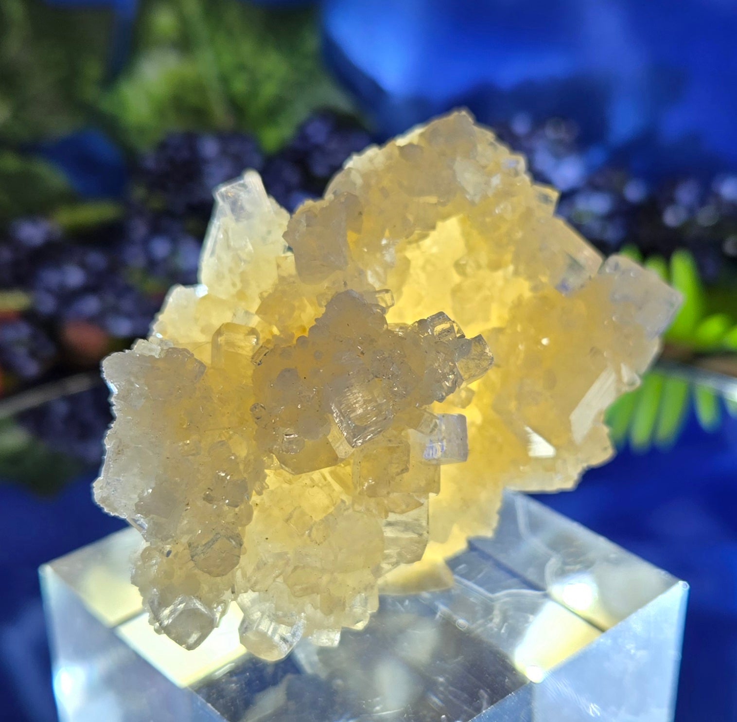 APOPHYLLITE - GYROLITE - PREHNITE