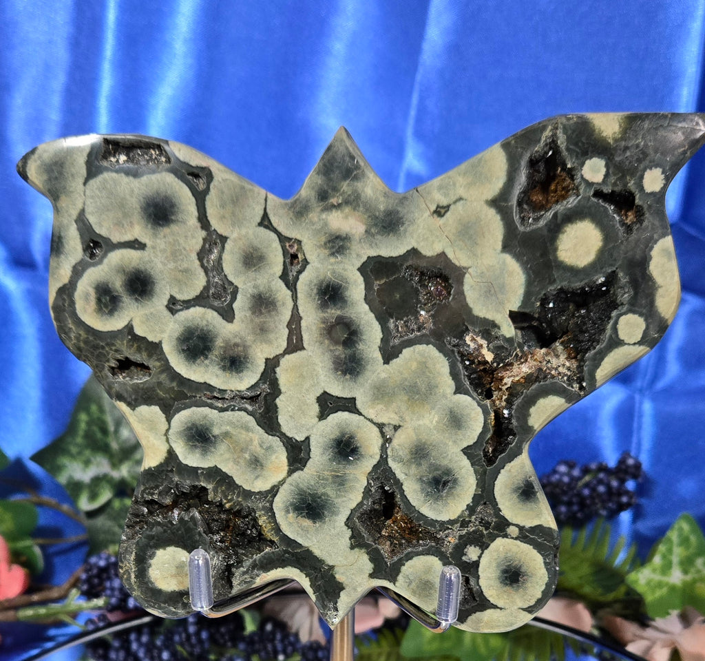 ORBICULAR JASPER AGATE BUTTERFLY