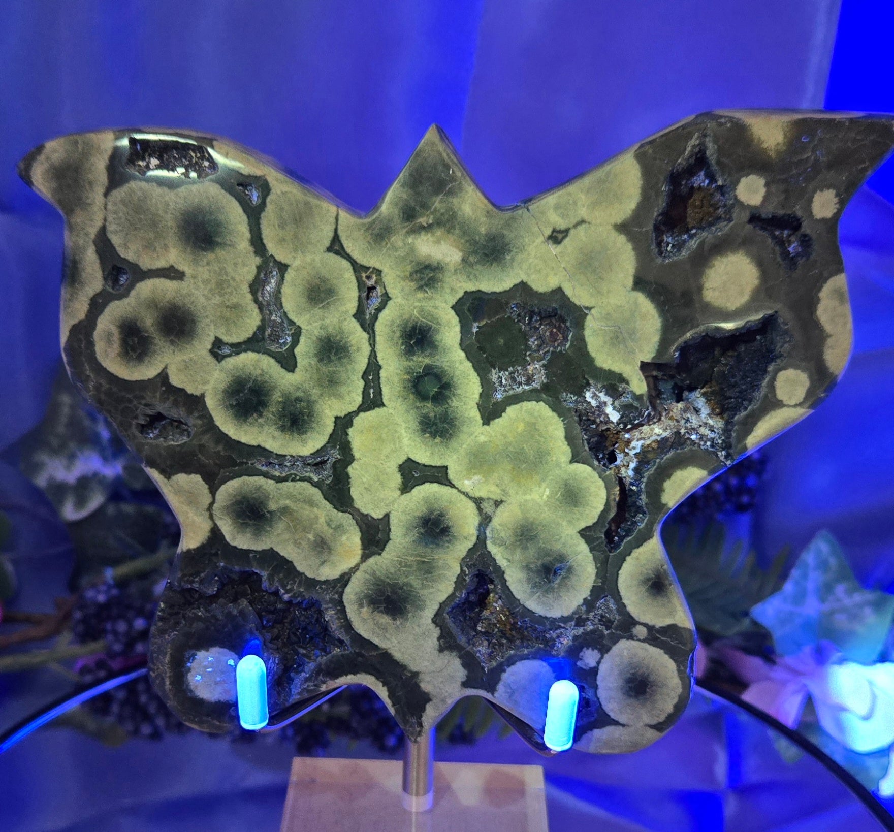 ORBICULAR JASPER AGATE BUTTERFLY