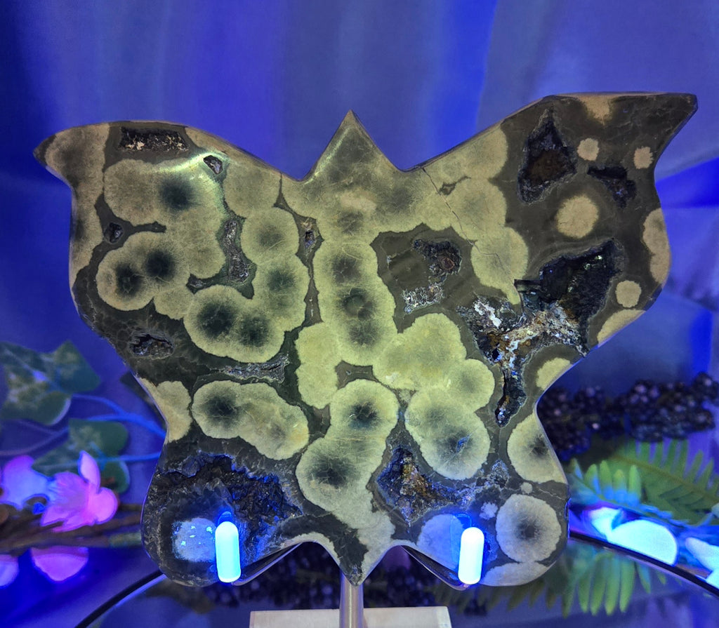 ORBICULAR JASPER AGATE BUTTERFLY