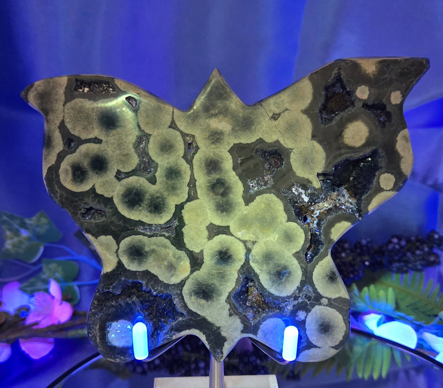 ORBICULAR JASPER AGATE BUTTERFLY