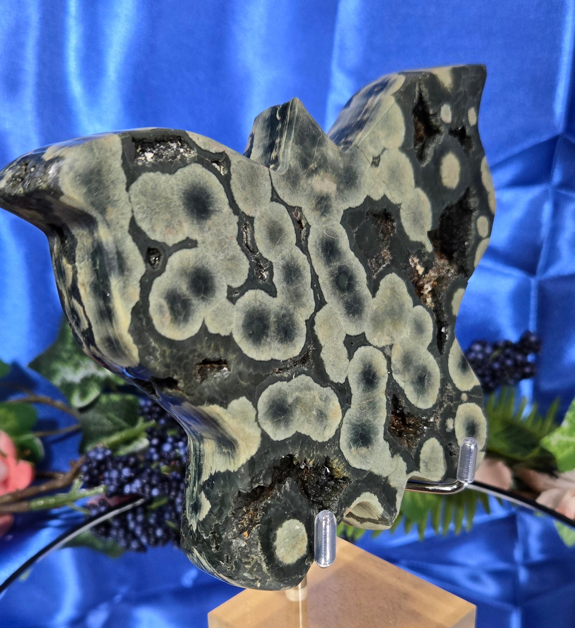 ORBICULAR JASPER AGATE BUTTERFLY